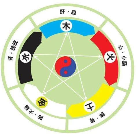 五行個性|五行人格